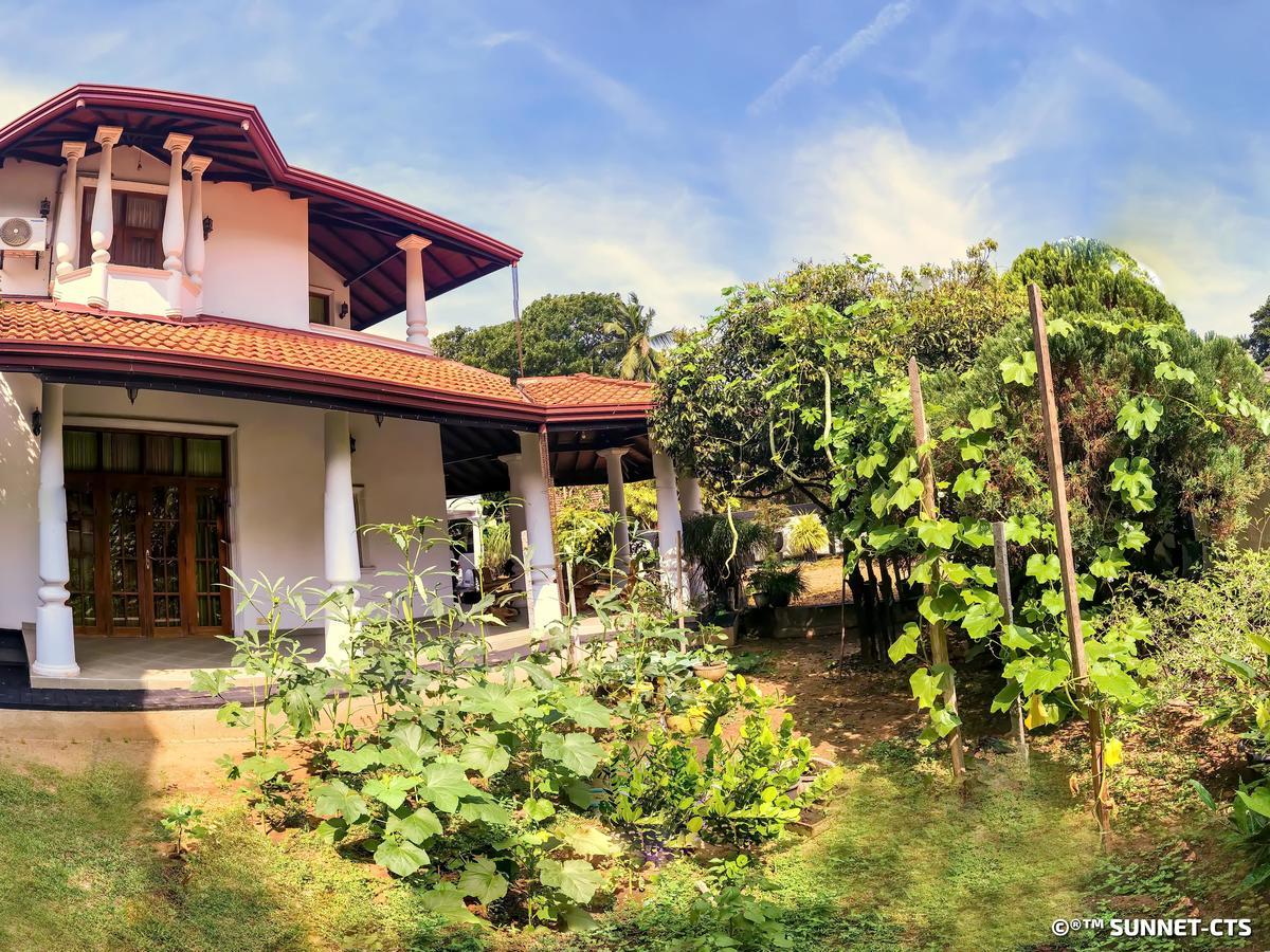 Ceylon Pearlwing Resort Νεγκόμπο Εξωτερικό φωτογραφία