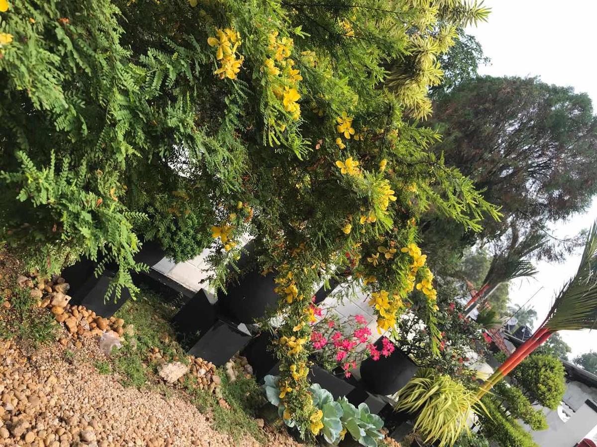Ceylon Pearlwing Resort Νεγκόμπο Εξωτερικό φωτογραφία