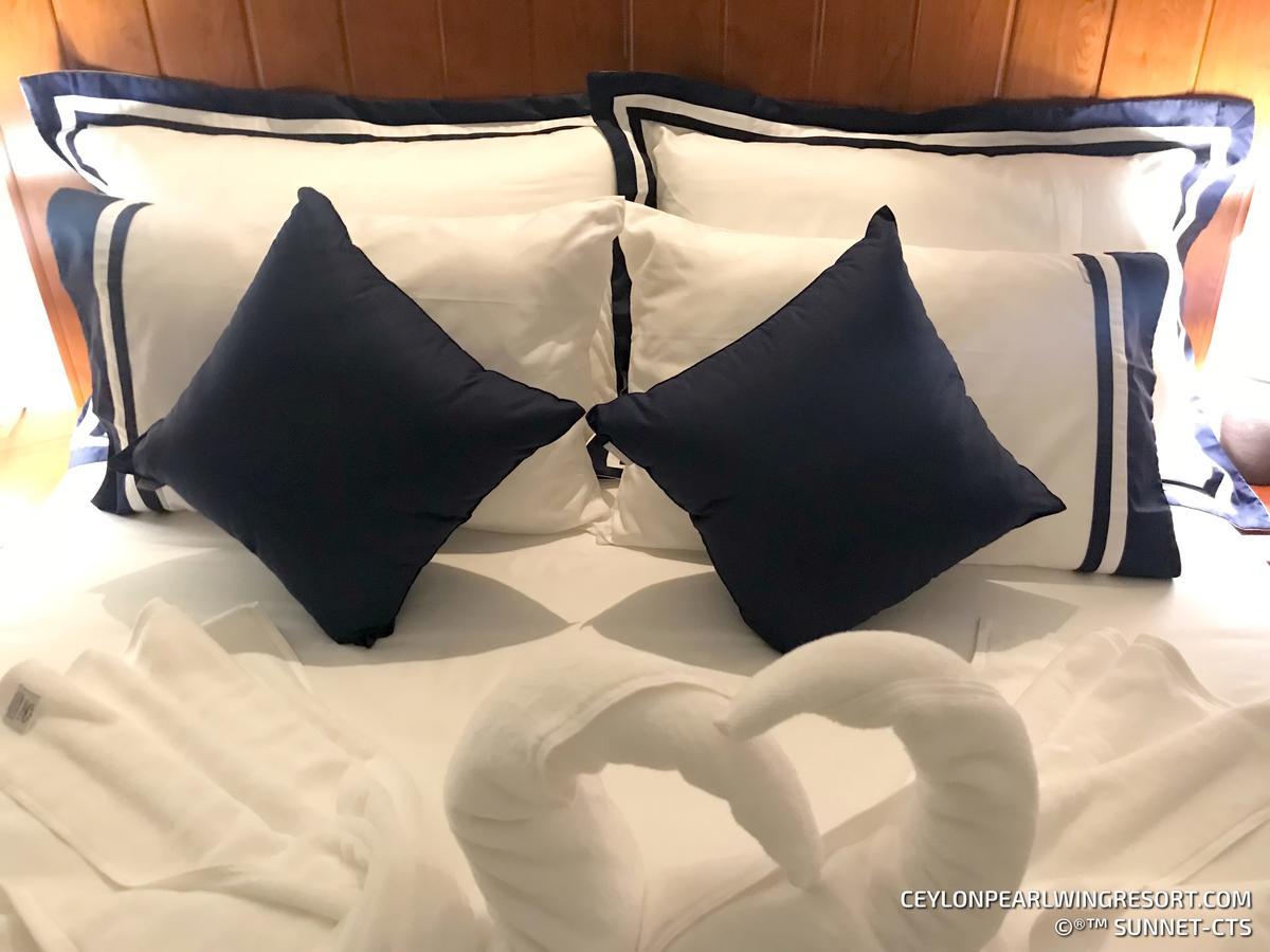 Ceylon Pearlwing Resort Νεγκόμπο Εξωτερικό φωτογραφία