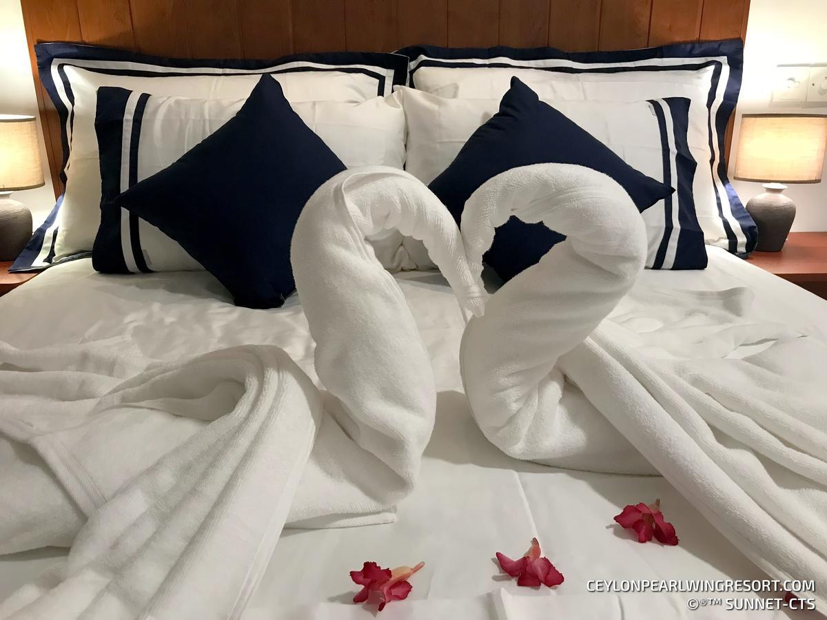 Ceylon Pearlwing Resort Νεγκόμπο Εξωτερικό φωτογραφία