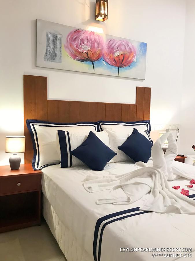 Ceylon Pearlwing Resort Νεγκόμπο Εξωτερικό φωτογραφία